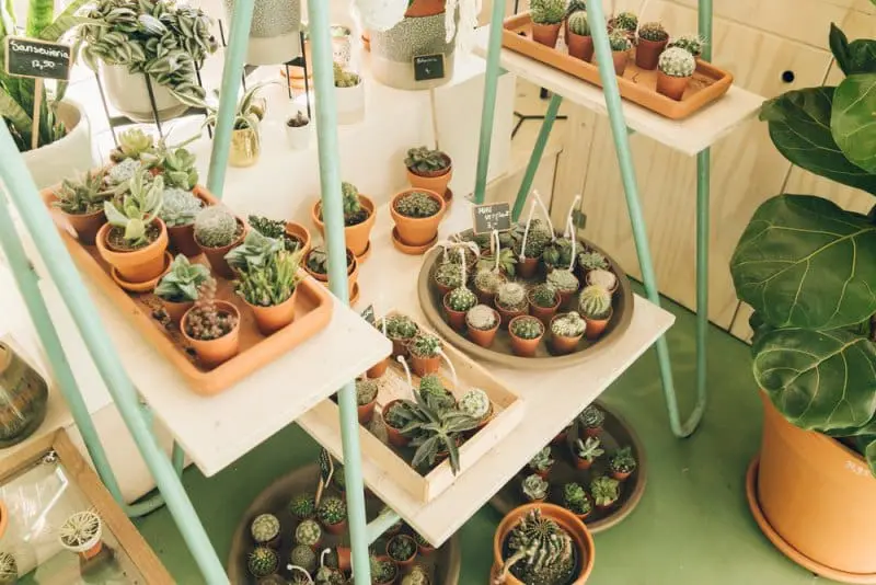 hotspots in amsterdam oud-west