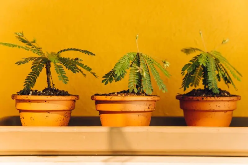 hotspots in amsterdam oud-west