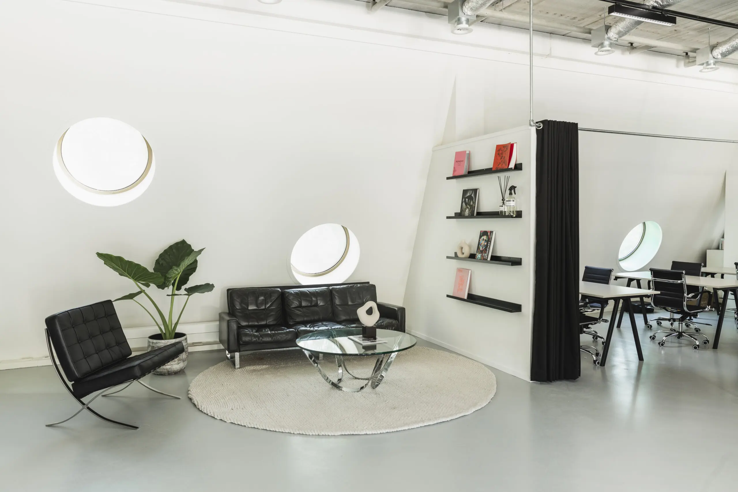 The Color zoekt Content Creator stagiaire